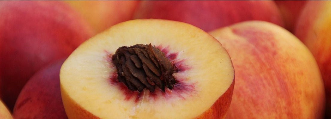 Demi abricot avec noyau en gros plan