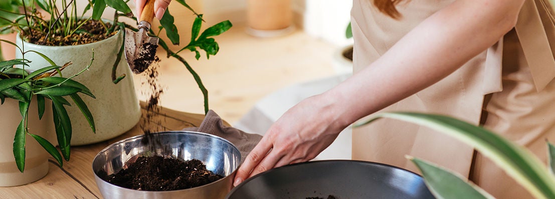 Personne en train de remplir un pot de plante avec du compost à l’intérieur