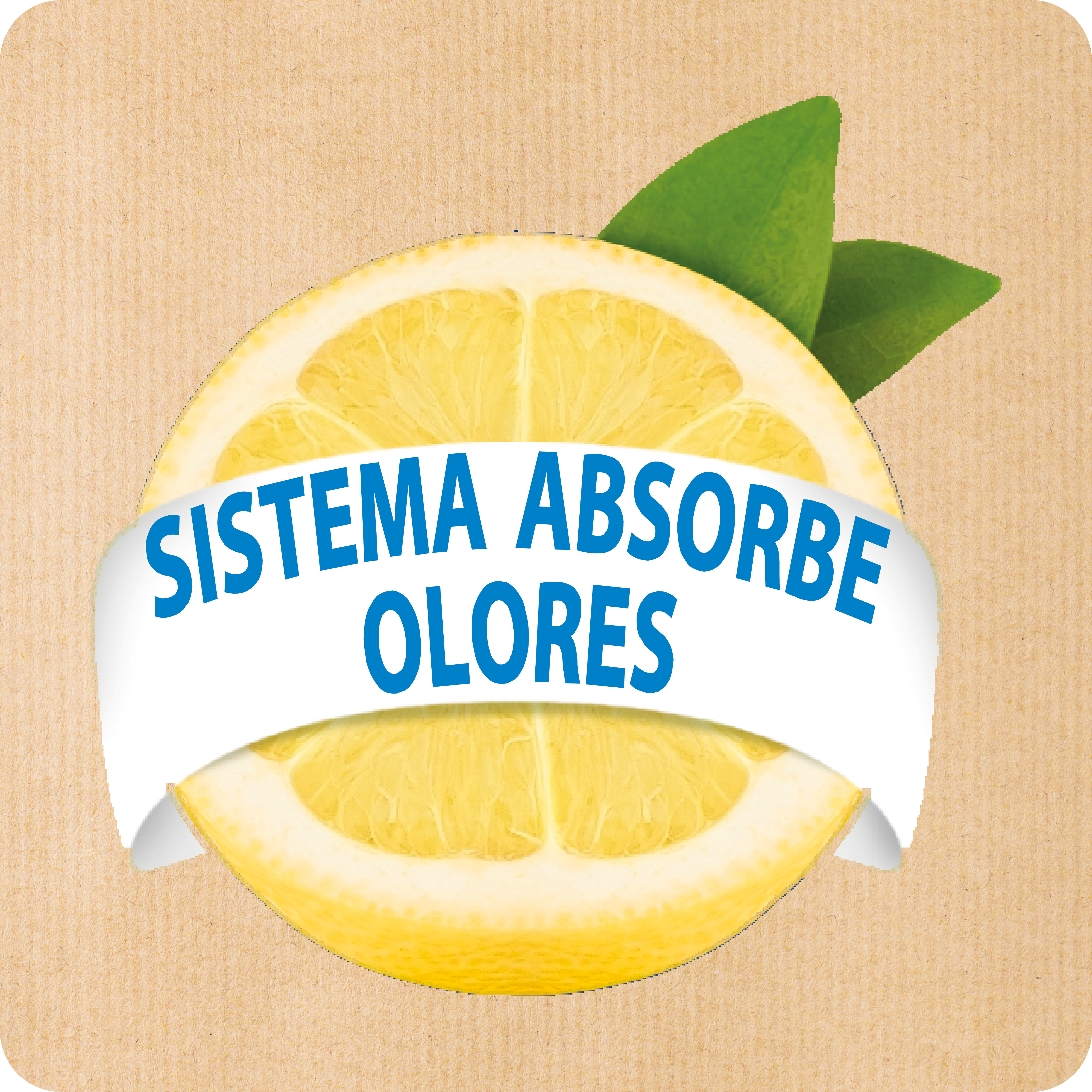 Absorbe olores